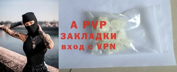 прущие грибы Ростов