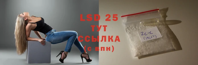 прущие грибы Ростов