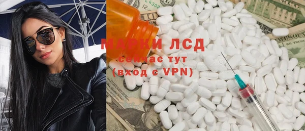 прущие грибы Ростов