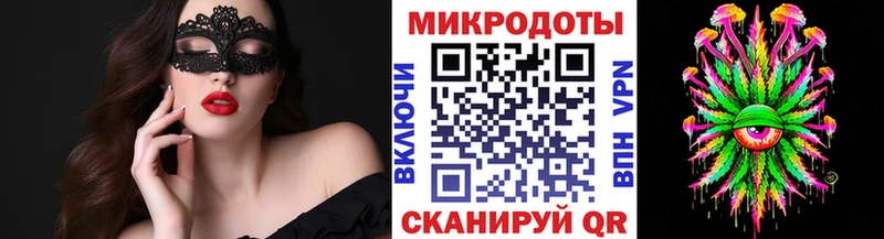 Галлюциногенные грибы Psilocybe  Александровск-Сахалинский 
